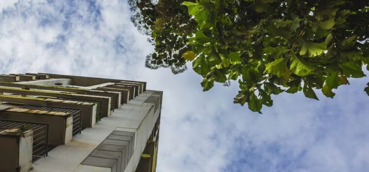 EL DERECHO Y LAS CONSTRUCCIONES SUSTENTABLES